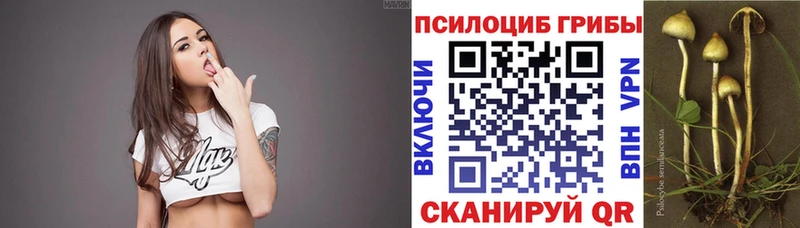 Купить  Симферополь  Псилоцибиновые грибы мухоморы 